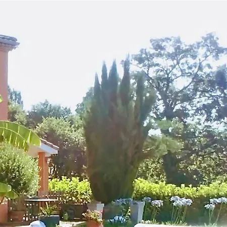 شقة Jasmin & Jardin 1 A 2 Pers A Terra *